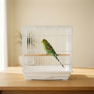 Cages