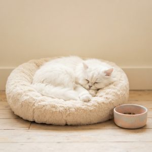 Beds & Bowls