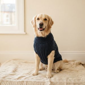 Dog Clothing