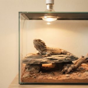 Heating & Lighting